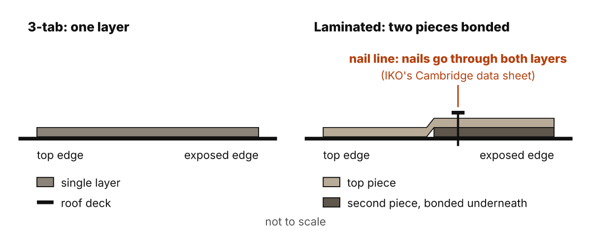 Cross-sections, not to scale: a 3-tab shingle is a single layer, while a laminated architectural shingle is two pieces bonded together, with nails in the nail line passing through both layers