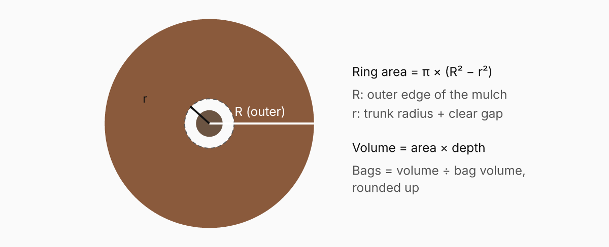 Top view of a mulch ring around a tree, with the outer radius R to the edge of the mulch and the inner clear zone r around the trunk