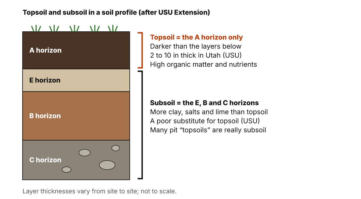 Soil profile with the dark A horizon labeled topsoil and the E, B and C horizons below it labeled subsoil, which has more clay, salts and lime; Utah State University Extension puts topsoil at 2 to 10 in thick in Utah